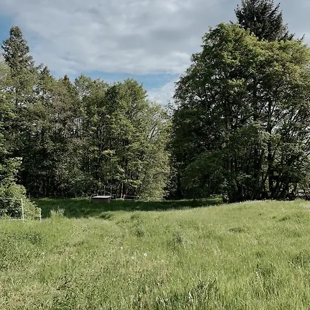 Ludwigslust Vogtland De - Ideal Fuer Naturliebhaber & Fellnasen Mehltheuer Exterior photo