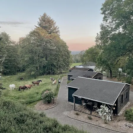 Ludwigslust Vogtland De - Ideal Fuer Naturliebhaber & Fellnasen Mehltheuer Exterior photo
