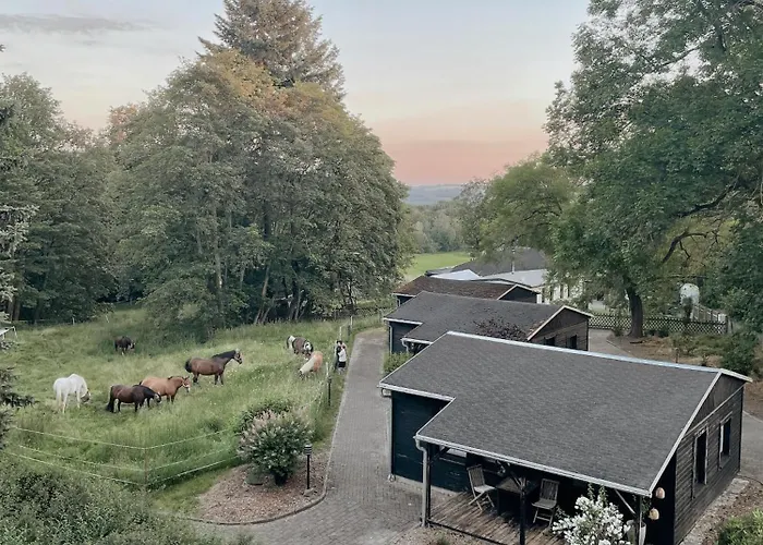 Ludwigslust Vogtland De - Ideal Fuer Naturliebhaber & Fellnasen