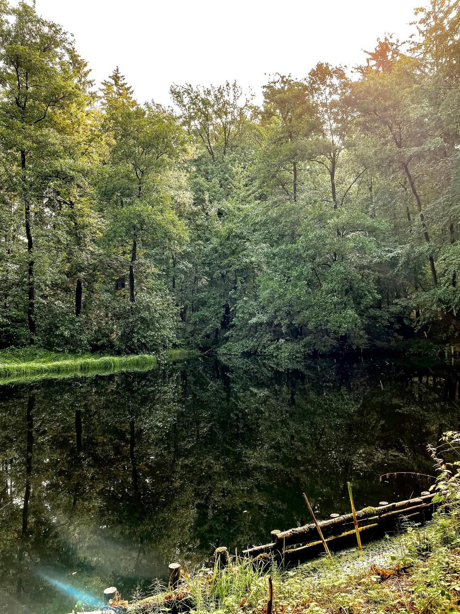 Ludwigslust Vogtland De - Ideal Fuer Naturliebhaber & Fellnasen Hébergement de vacances