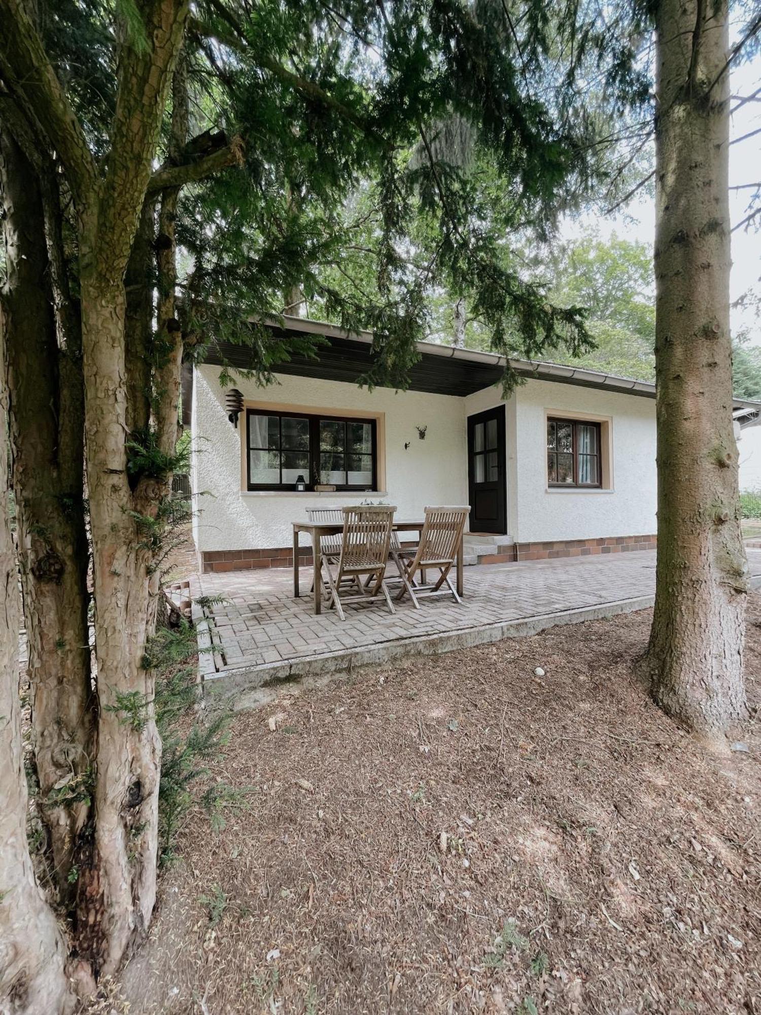 Ludwigslust Vogtland De - Ideal Fuer Naturliebhaber & Fellnasen * Mehltheuer