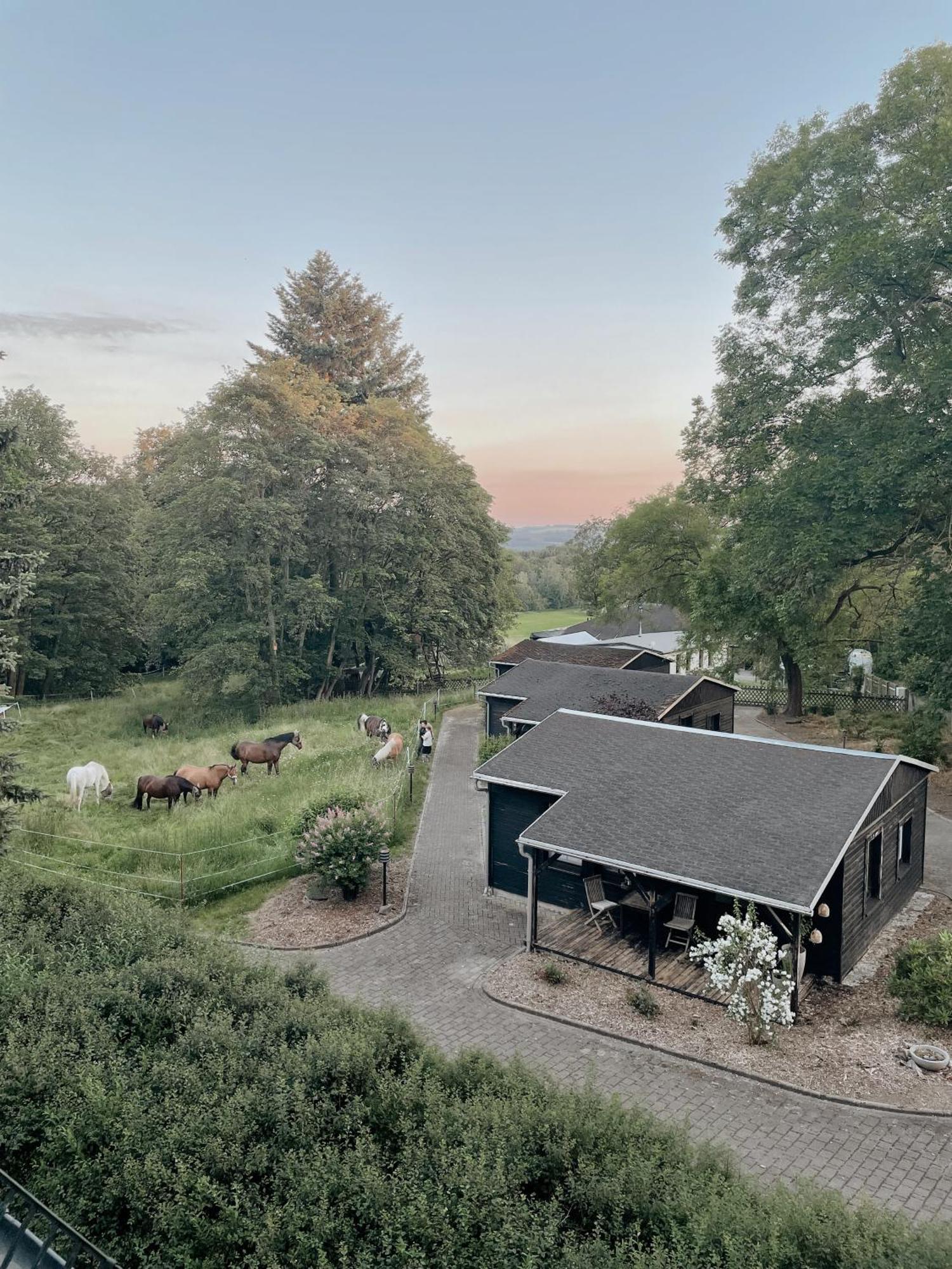 Ludwigslust Vogtland De - Ideal Fuer Naturliebhaber & Fellnasen *